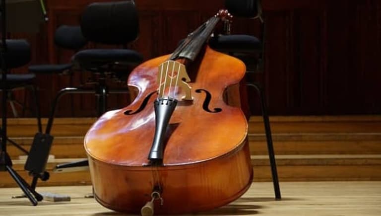 Big String Instruments Bass From Violin to Double Bass: Which String Instrument is Right for You ...